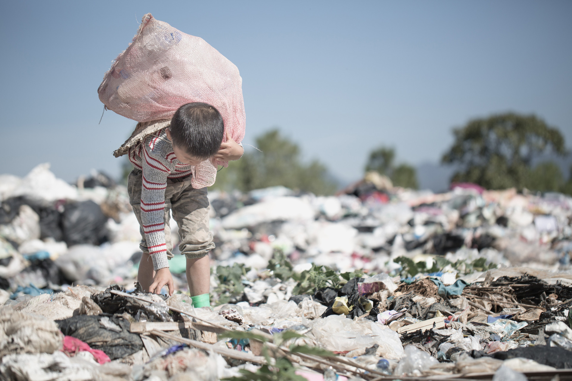 Rakkit saubere Meere plastikfreie Weltmeere